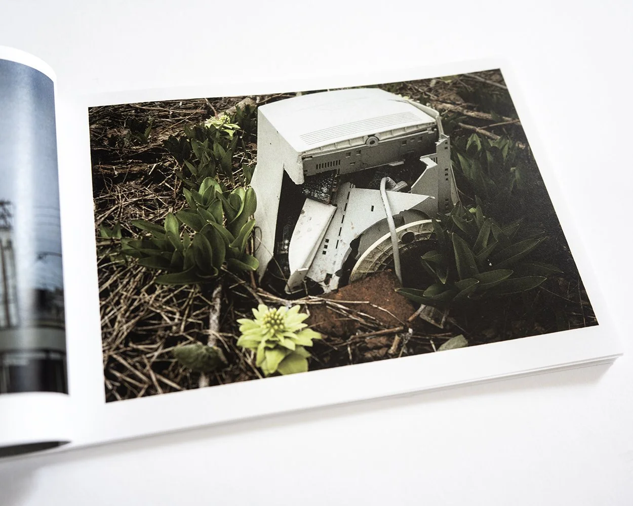 William Eggleston: A Cor Americana — bookdummypress